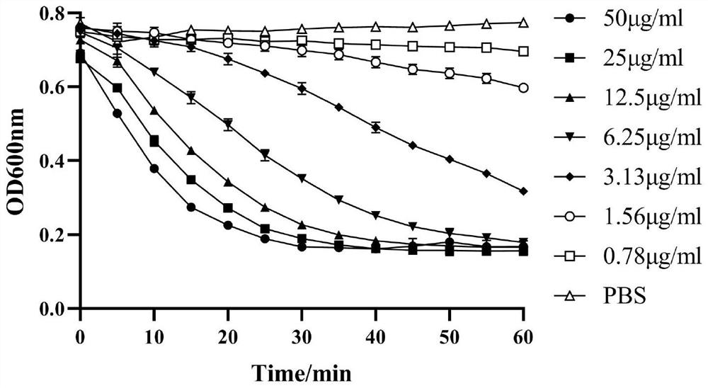 Chimeric enzyme ClyQ for degrading staphylococcus biofilm as well as preparation method and application of chimeric enzyme ClyQ