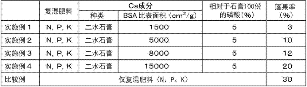 Gypsum fertilizer for blueberries and method for suppressing blueberry abscission