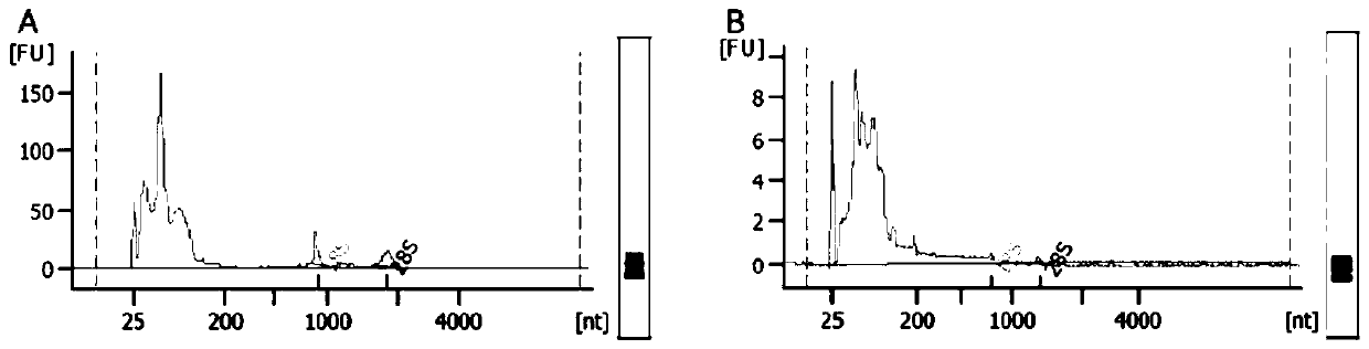 Application of set of miRNAs in preparation of marker for screening early-stage breast cancers