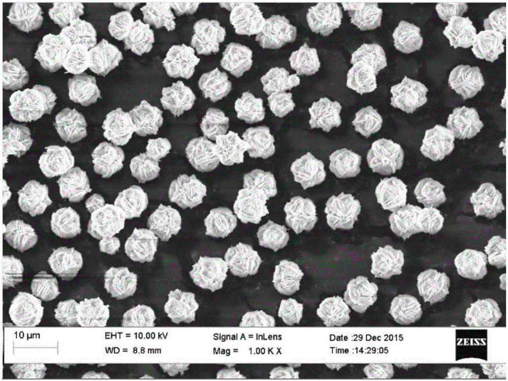 Method for preparing cauliflower-like calcium sulfite microparticles