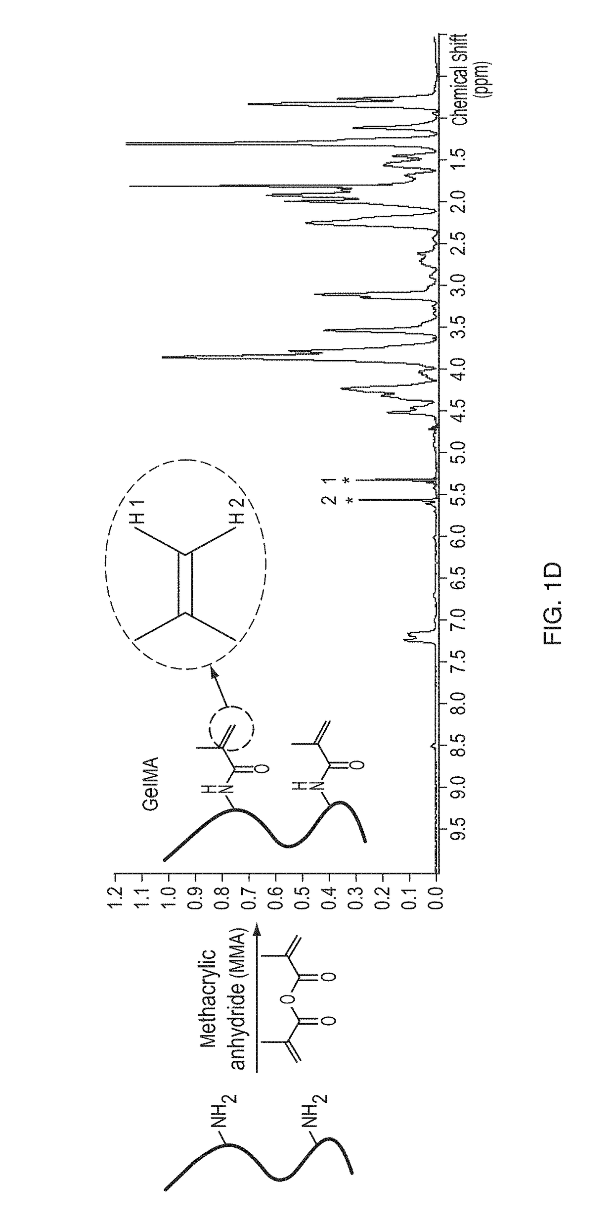 Gelatin/Elastin Composites for Peripheral Nerve Repair