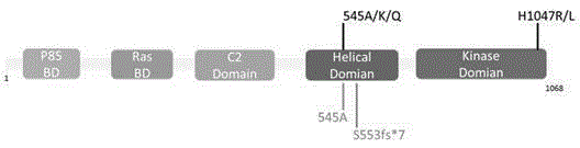 Breast cancer PIK3CA mutant gene and application thereof