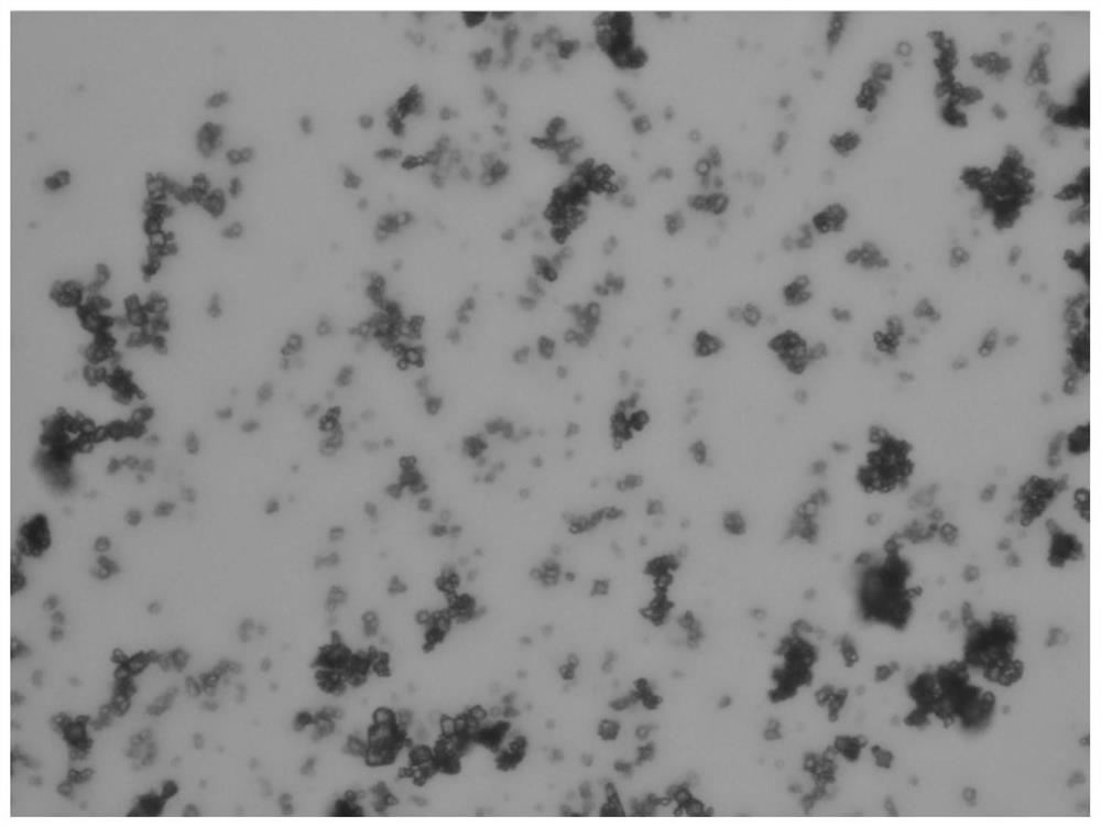 A kind of preparation method of nanoscale superfine sodium chloride