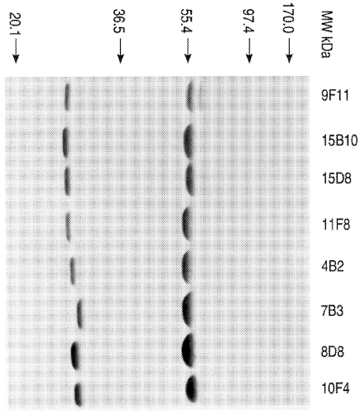 Therapeutic methods for benzodiazepine derivatives