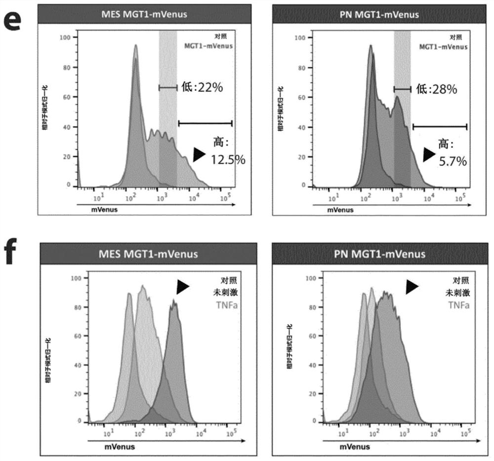 A method for engineering synthetic cis-regulatory DNA