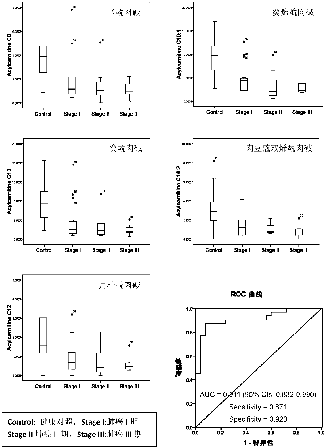 Lung cancer diagnosis marker combination and application