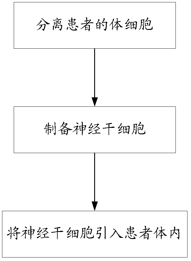 Culture medium for preparing neural stem cells and application thereof