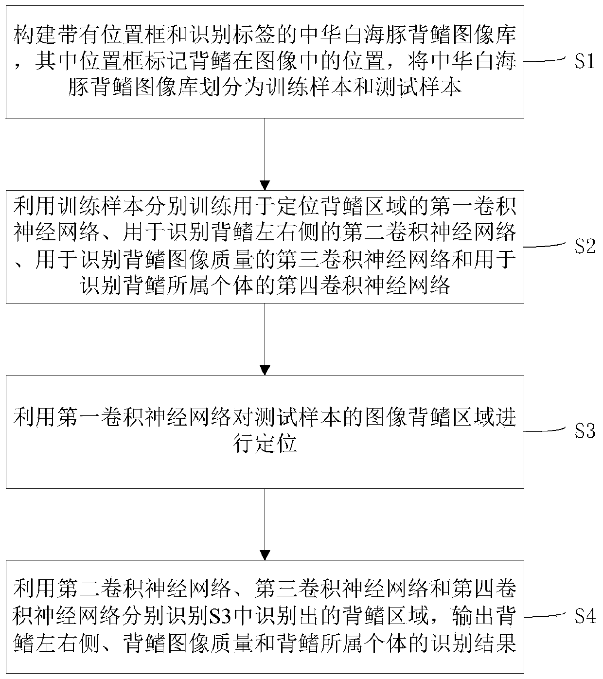 Chinese white dolphin dorsal fin identification method based on convolutional neural network