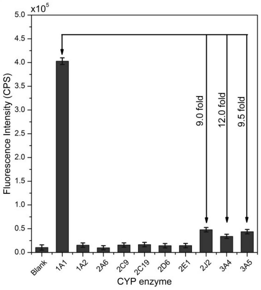 Near-infrared fluorescent probe for detecting CYP 1A1 enzyme