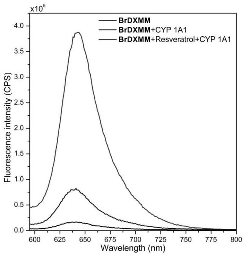 Near-infrared fluorescent probe for detecting CYP 1A1 enzyme