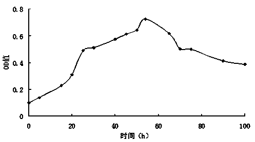 Method for cultivating high density Thiobacillusdenitrificans