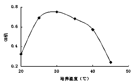 Method for cultivating high density Thiobacillusdenitrificans