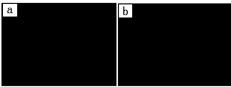 Preparation method for composite material of cellulose nanofiber and reinforced polyurethane