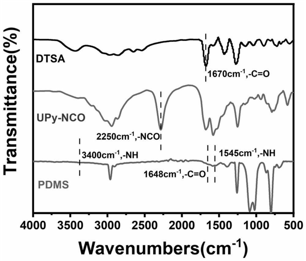 Conductive organic silicon elastomer based on MXene as well as preparation method and application of conductive organic silicon elastomer