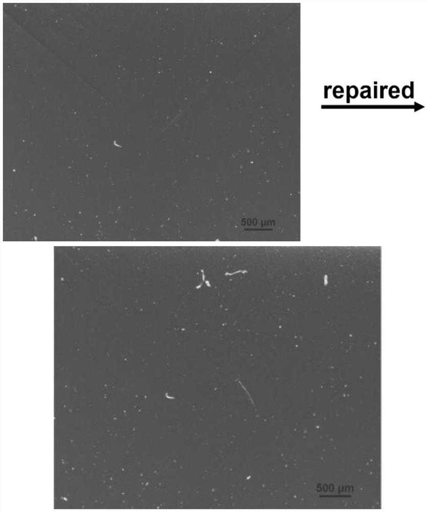 Conductive organic silicon elastomer based on MXene as well as preparation method and application of conductive organic silicon elastomer