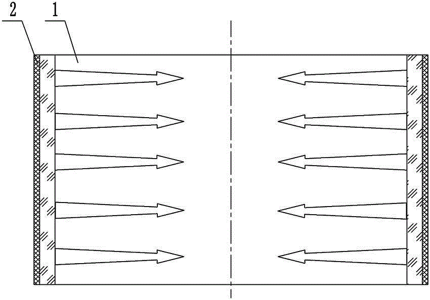 Heating device and heating method for lateral heating