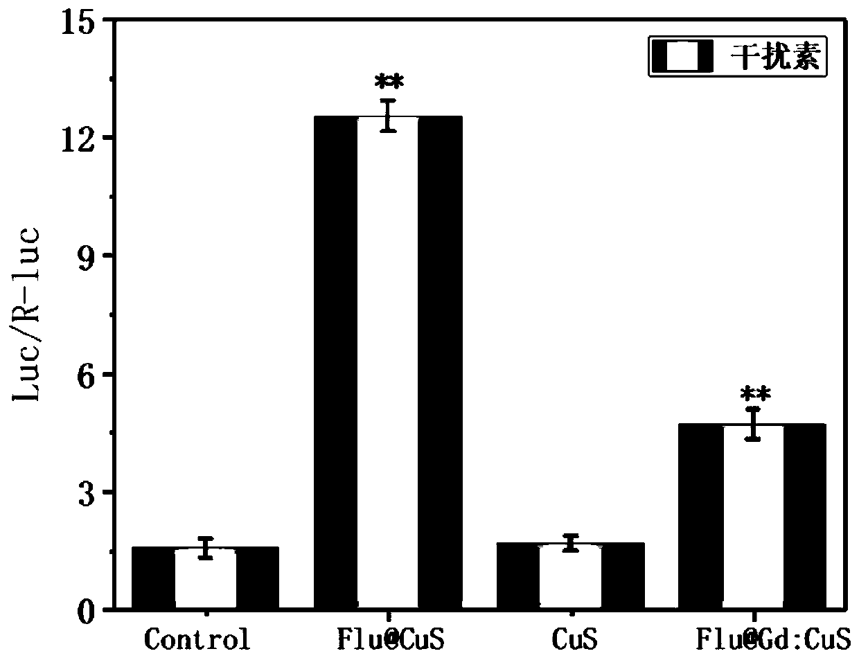 Method for synthesizing nano-preparations for visual guidance and combined immunotherapy of tumors by Gd:CuS mineralized Sendai virus