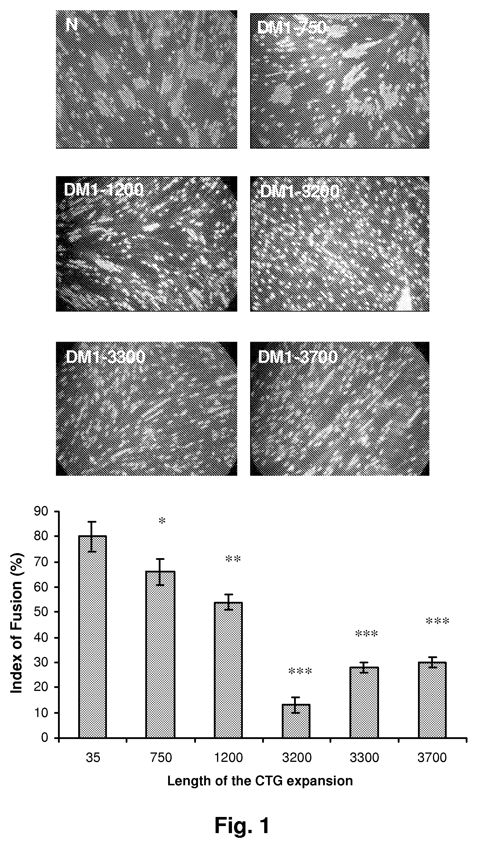 Prostaglandin e2 modulation and uses thereof