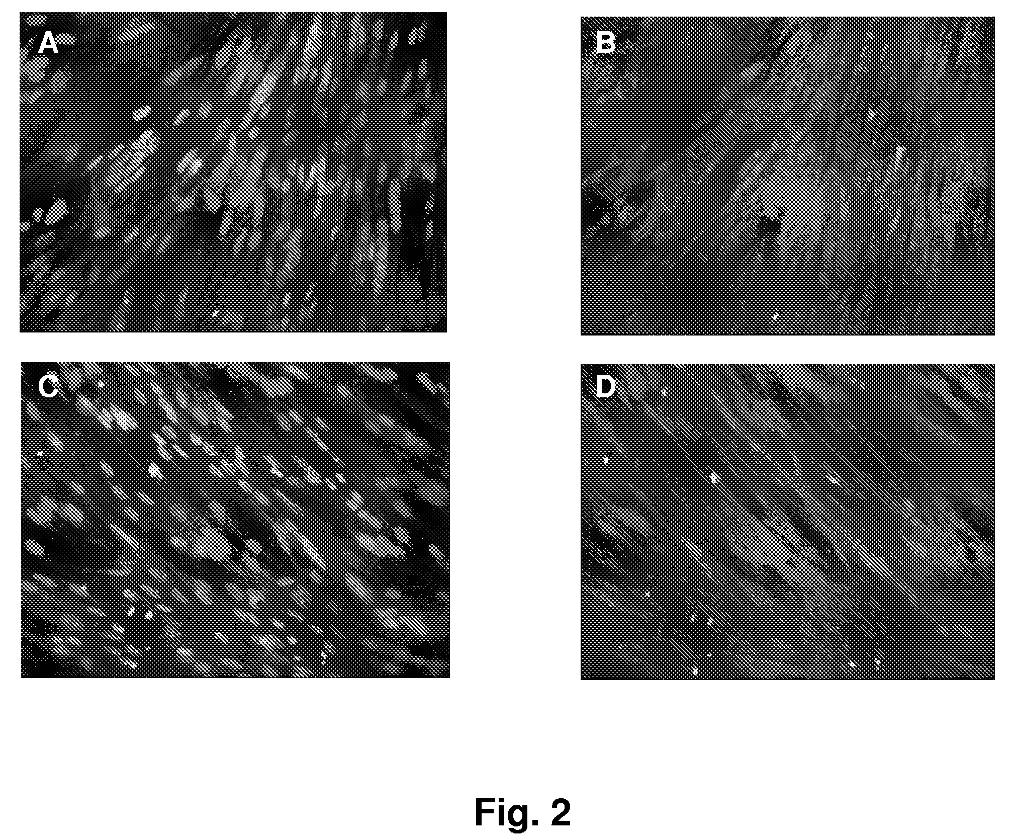 Prostaglandin e2 modulation and uses thereof