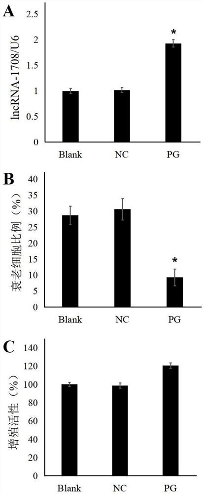 Application of high expression of lncRNA in inhibiting aging of umbilical cord mesenchymal stem cells