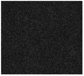 Lithium-sulfur battery cathode material and preparation method thereof