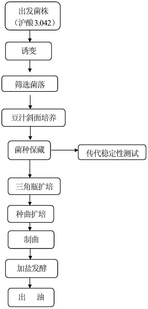 Aspergillus oryzae and application thereof