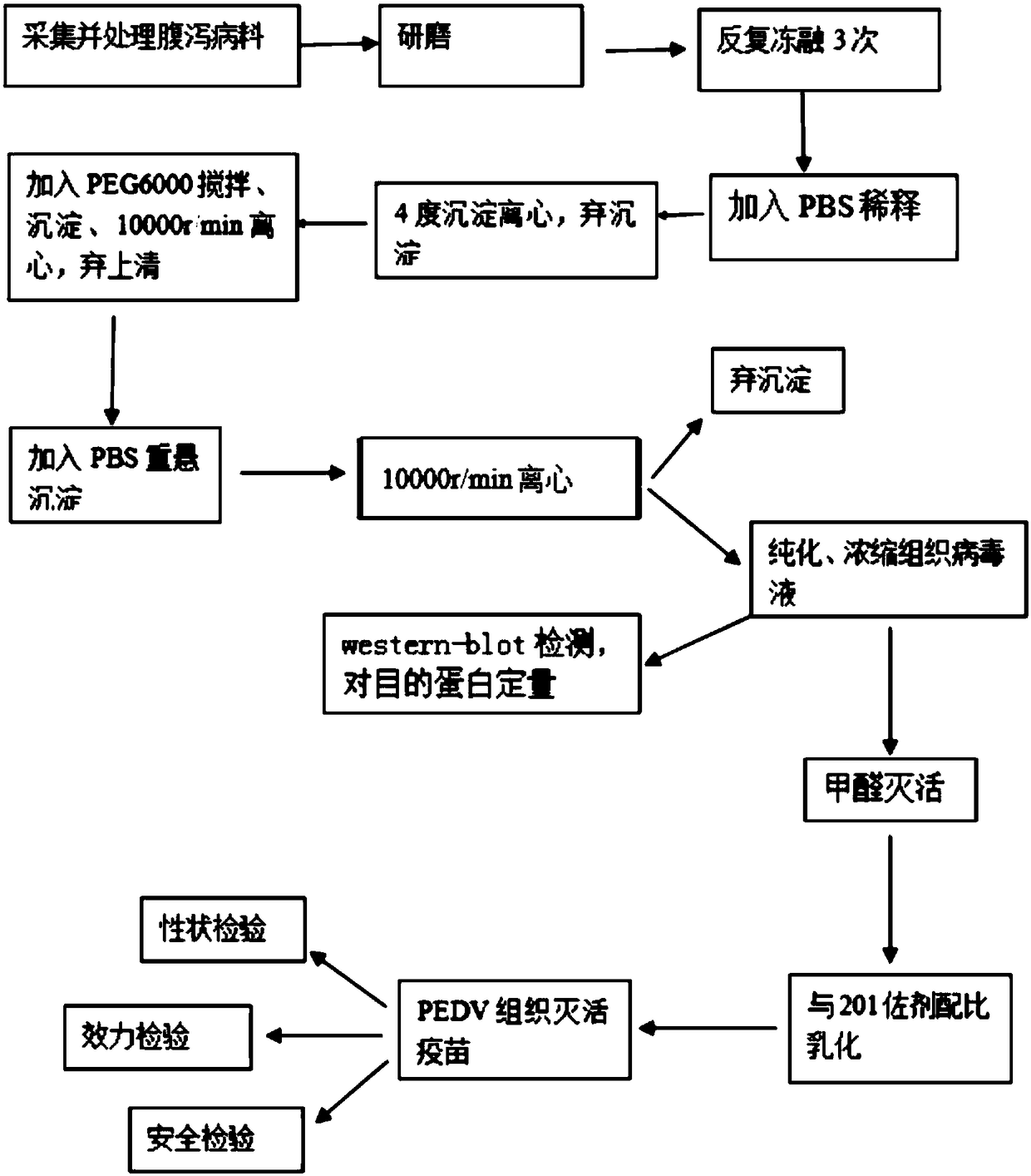 Porcine epidemic diarrhea virus as well as separation method and application thereof