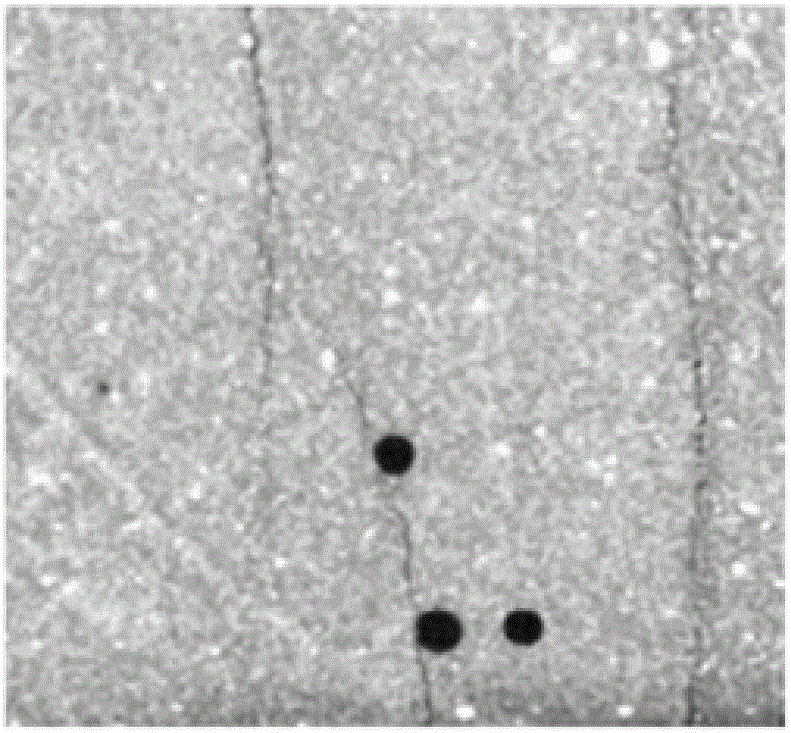 A microstructure detection method for freeze-thaw damage of cement-based materials