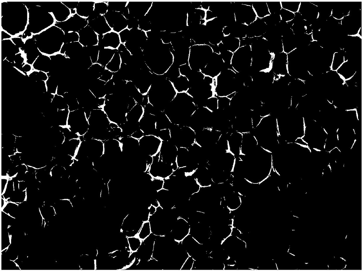 2,5-furandicarboxylic-acid-based polyester foam material and preparation method thereof