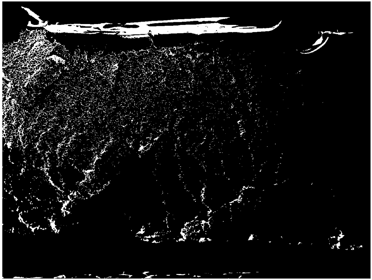 2,5-furandicarboxylic-acid-based polyester foam material and preparation method thereof