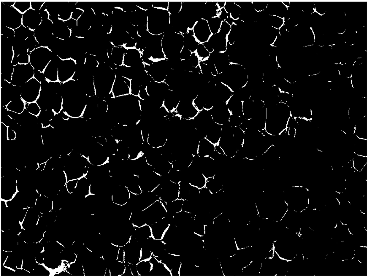 2,5-furandicarboxylic-acid-based polyester foam material and preparation method thereof