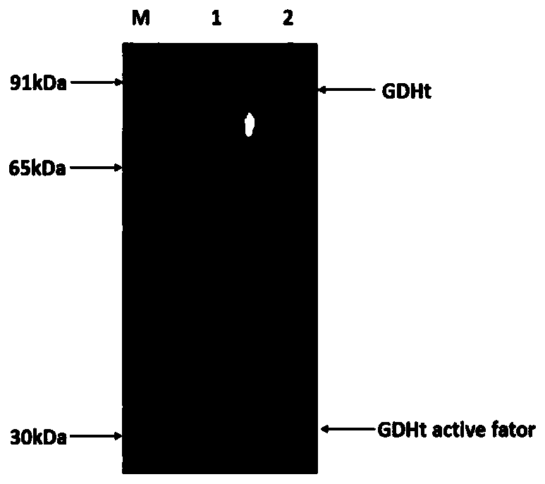 Method for producing 1,3-propylene glycol through glycerol fermentation via microorganisms