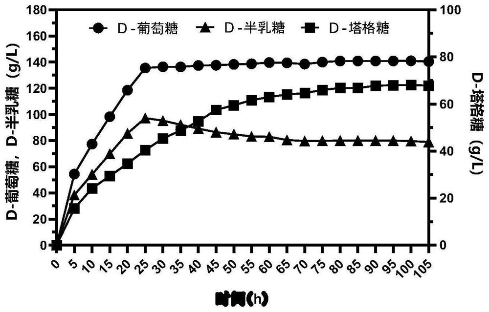 Method for co-producing D-tagatose, arabitol and galactitol and application