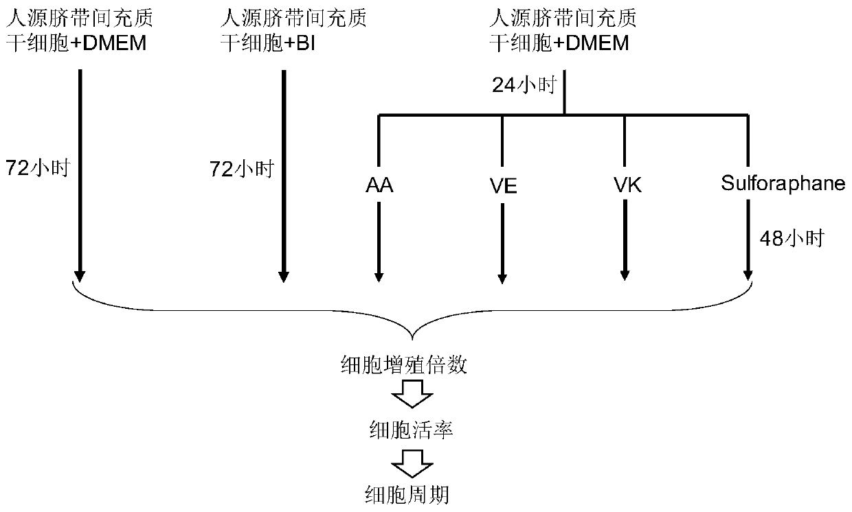 Vitamin C-containing culture medium for promoting umbilical cord mesenchymal stem cell proliferation