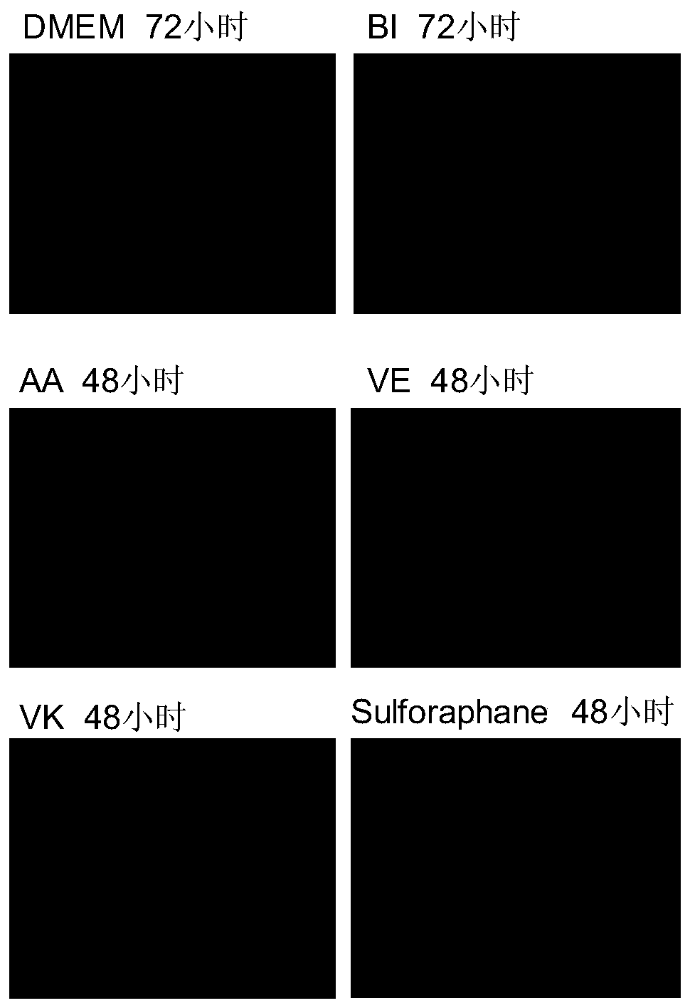 Vitamin C-containing culture medium for promoting umbilical cord mesenchymal stem cell proliferation