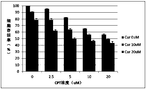 Application of cryptotanshinone combined with curcumin in the preparation of tumor therapeutic drugs