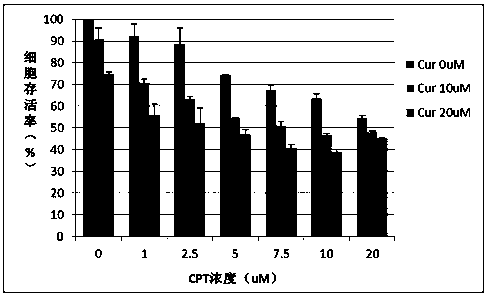 Application of cryptotanshinone combined with curcumin in the preparation of tumor therapeutic drugs