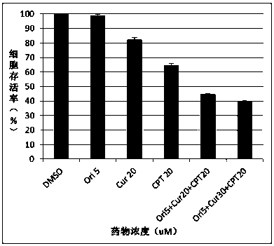 Application of cryptotanshinone combined with curcumin in the preparation of tumor therapeutic drugs