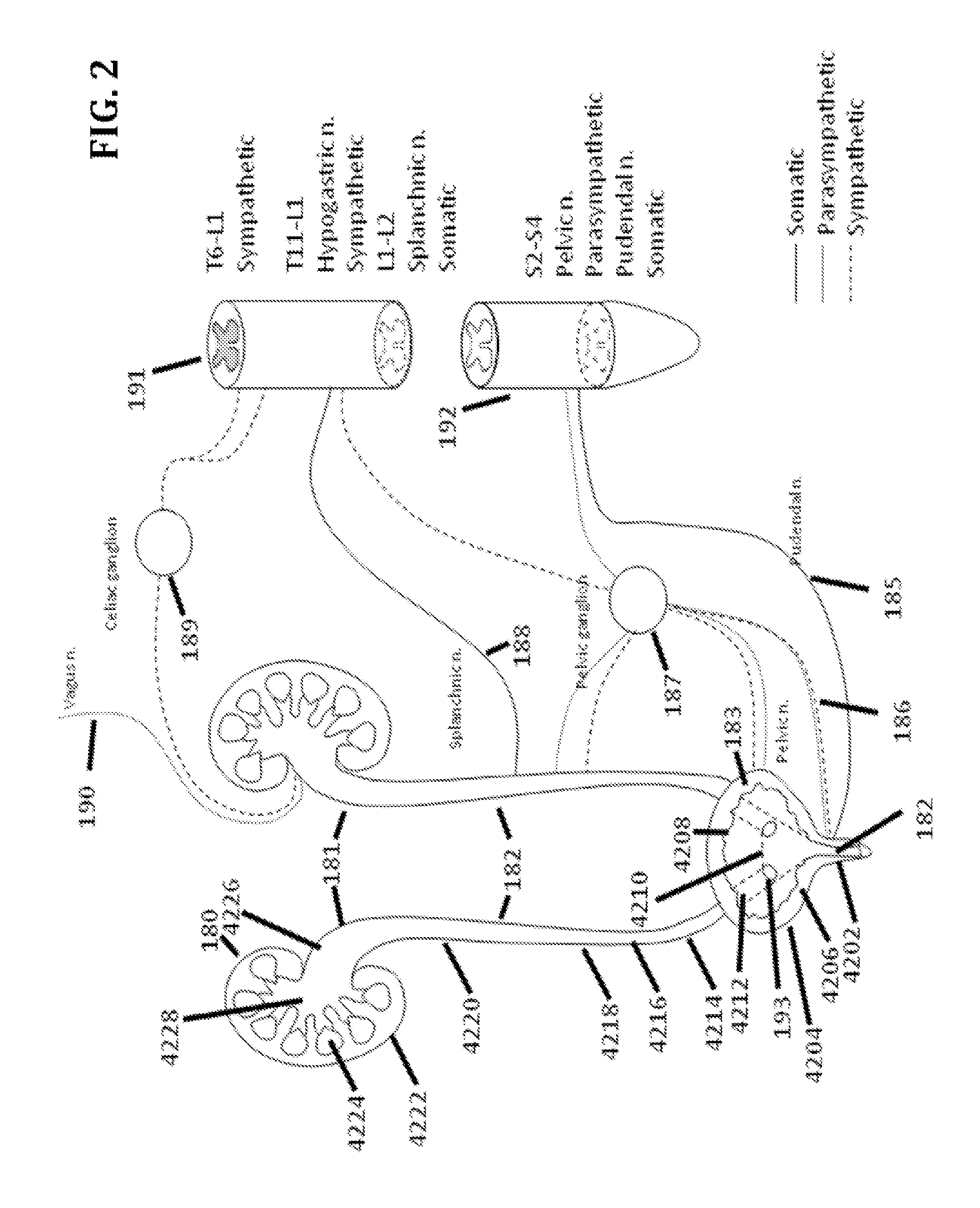 Stimulation of the urinary system