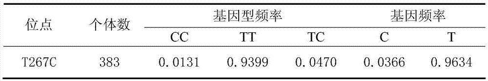 Molecular marker for detecting day-age for achieving 100 kg pig, and applications thereof