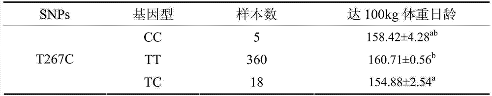 Molecular marker for detecting day-age for achieving 100 kg pig, and applications thereof