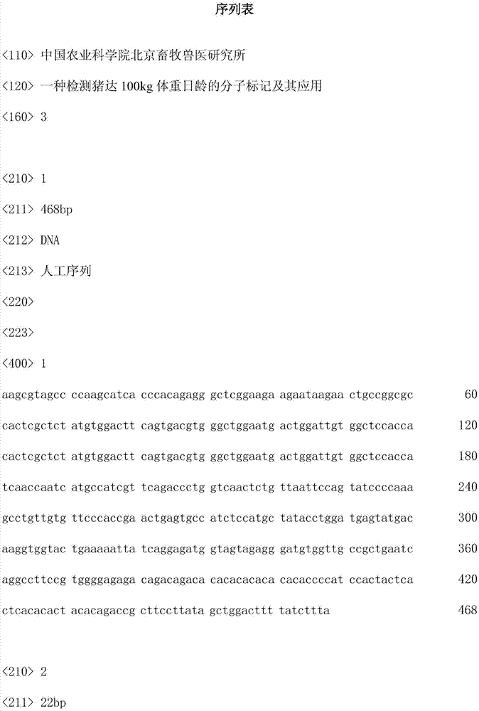 Molecular marker for detecting day-age for achieving 100 kg pig, and applications thereof