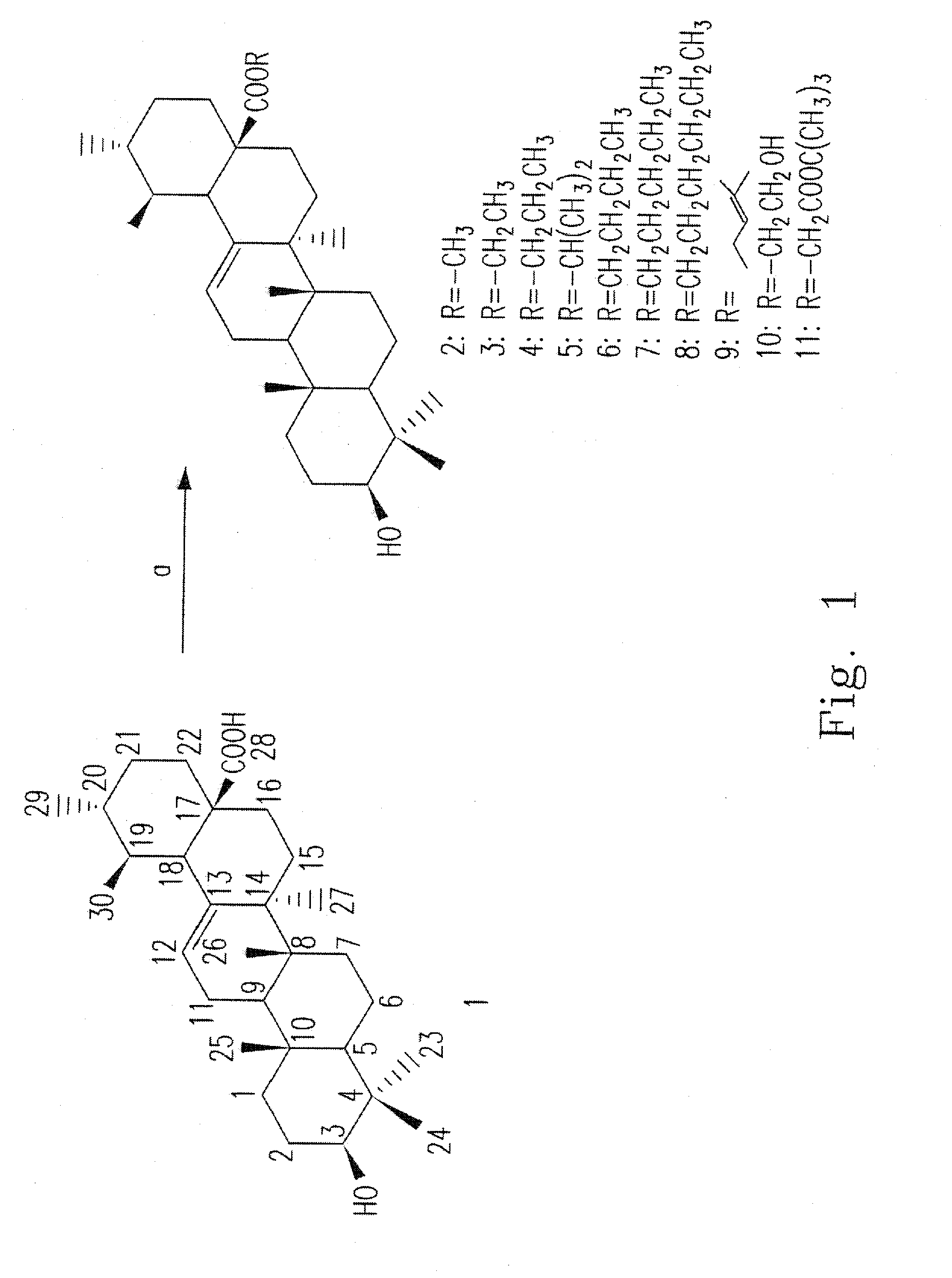 Ursolic acid derivative and pharmaceutical composition thereof