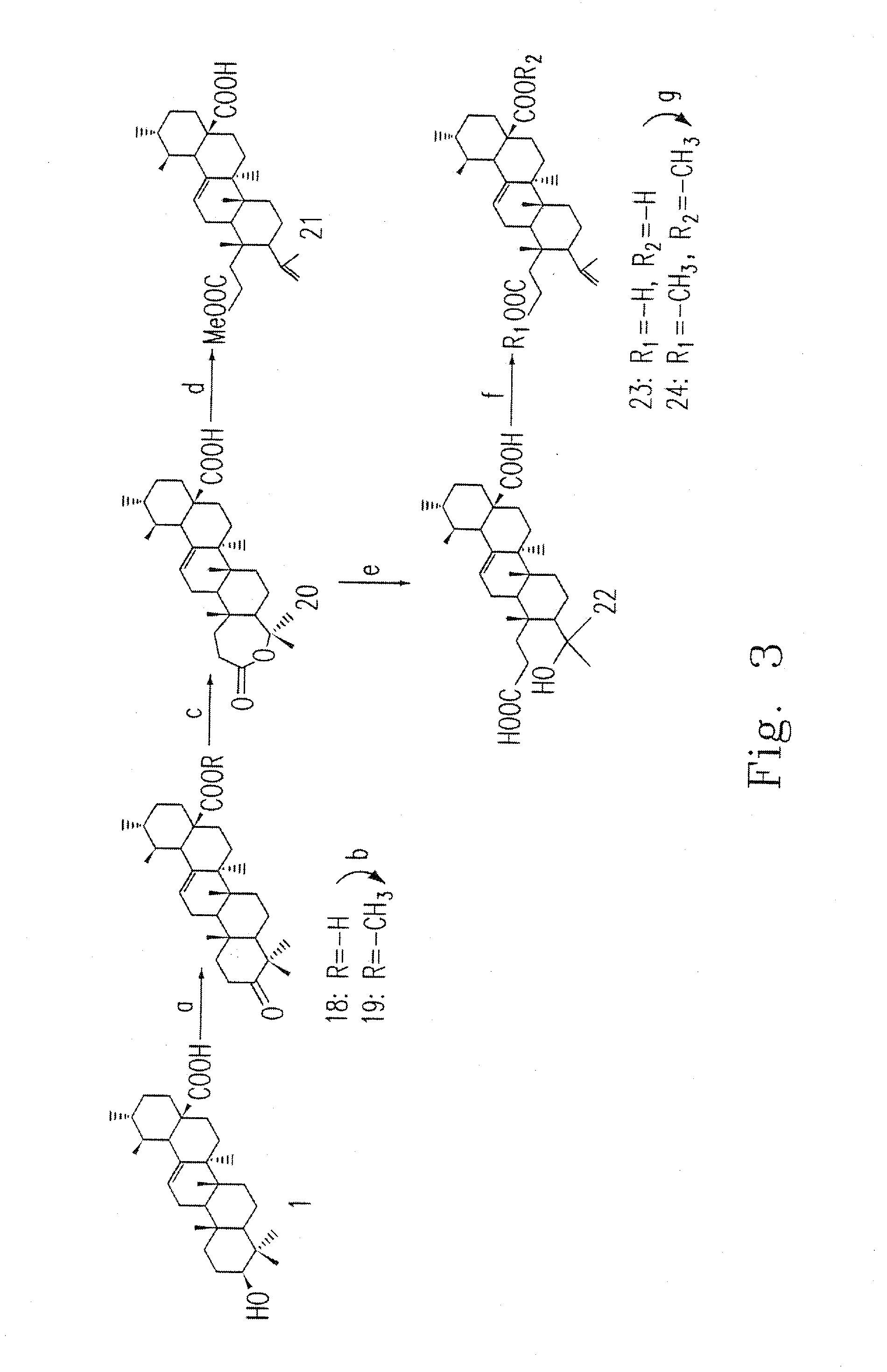 Ursolic acid derivative and pharmaceutical composition thereof