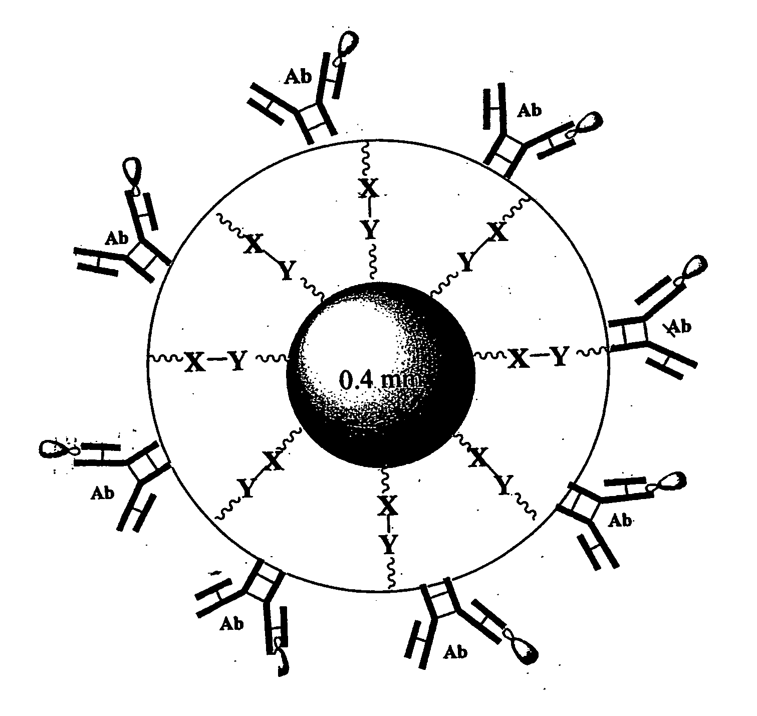 Isolation of cells or the like from bodily fluids