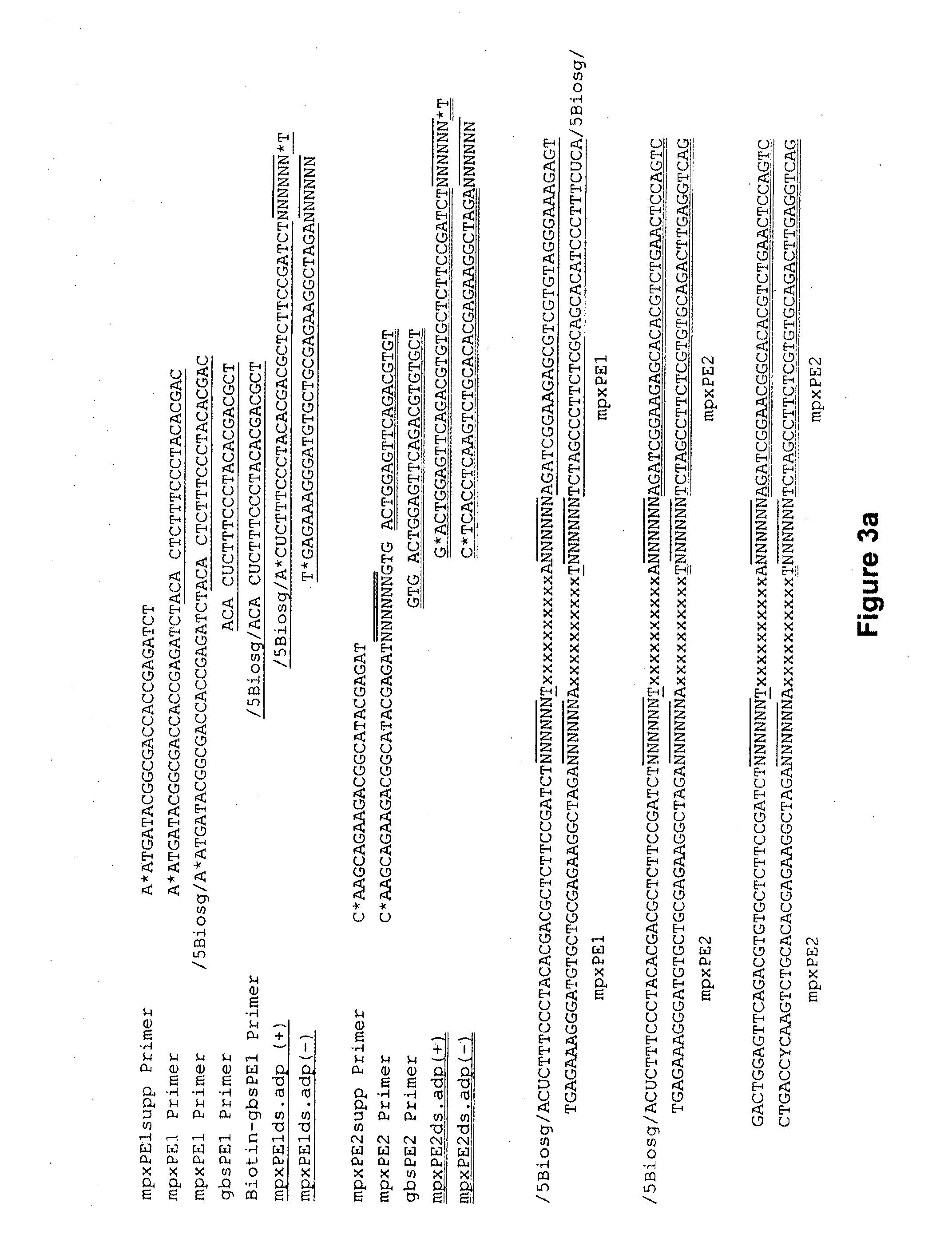 Method of Producing a Normalised Nucleic Acid Library Using Solid State Capture Material