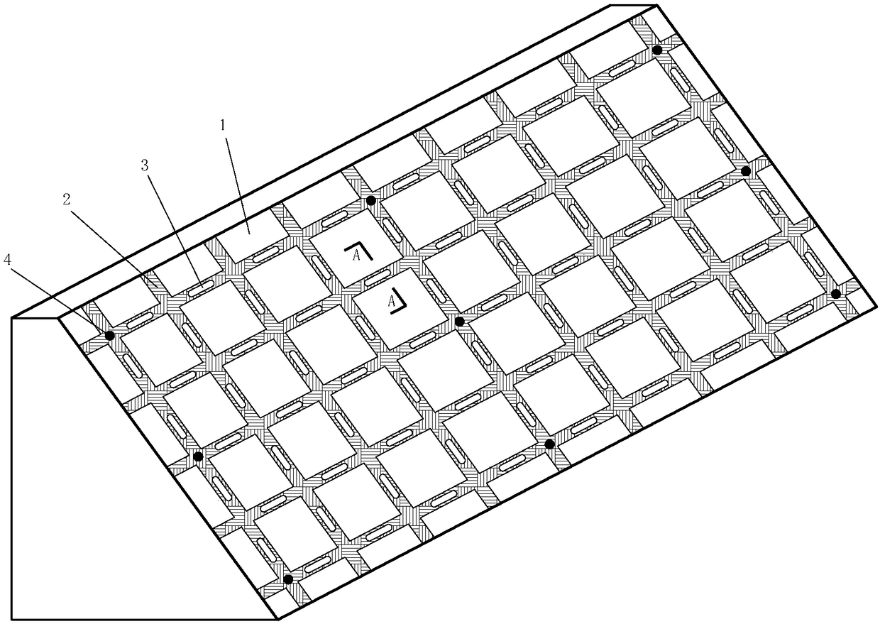 Ecological geogrid for slope protection