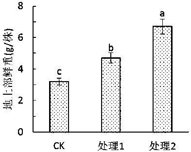 Method for preparing high-tower nitro type seaweed composite fertilizer