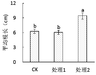 Method for preparing high-tower nitro type seaweed composite fertilizer