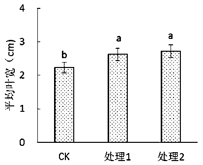 Method for preparing high-tower nitro type seaweed composite fertilizer